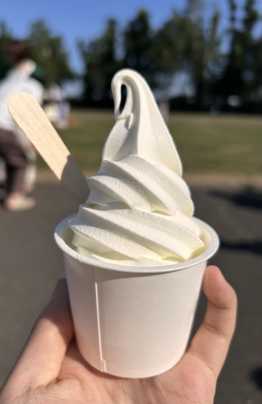 札幌のソフトクリームおすすめ8選｜甘すぎないのに濃い店を地元民が選びました