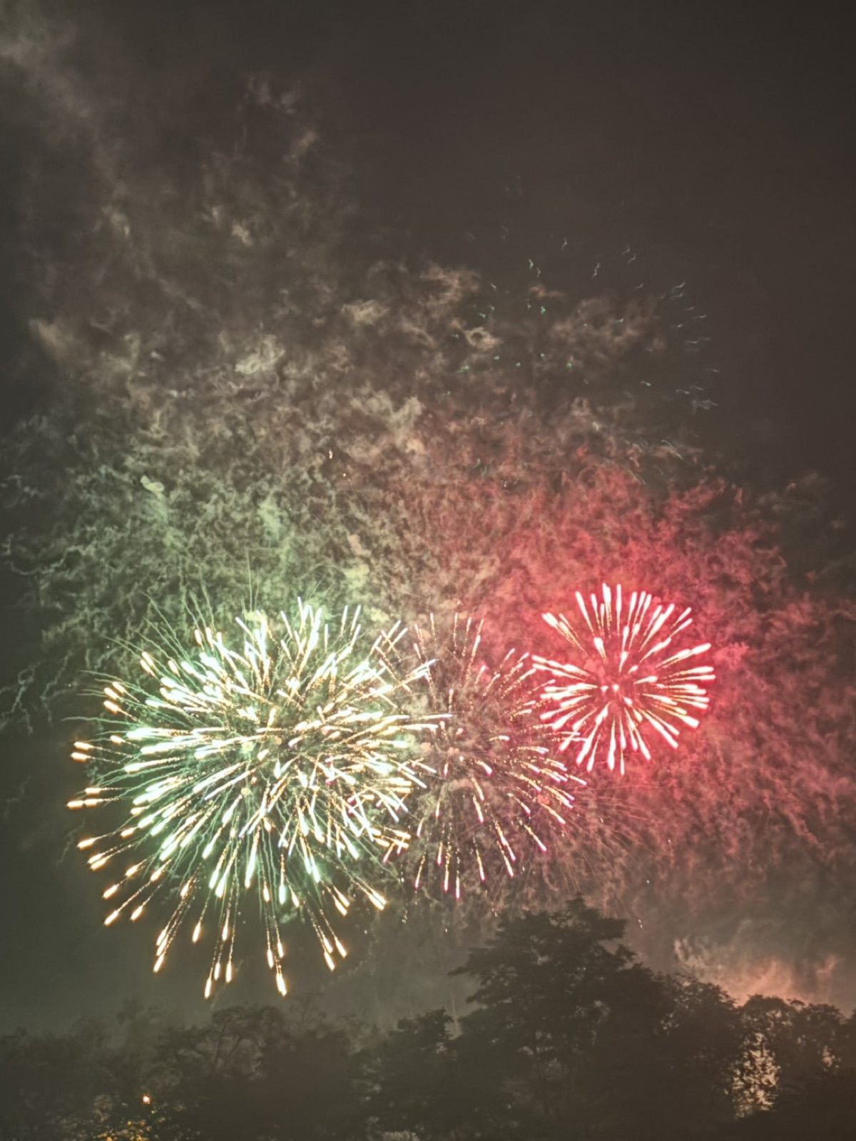 無料観覧エリアから見上げた花火