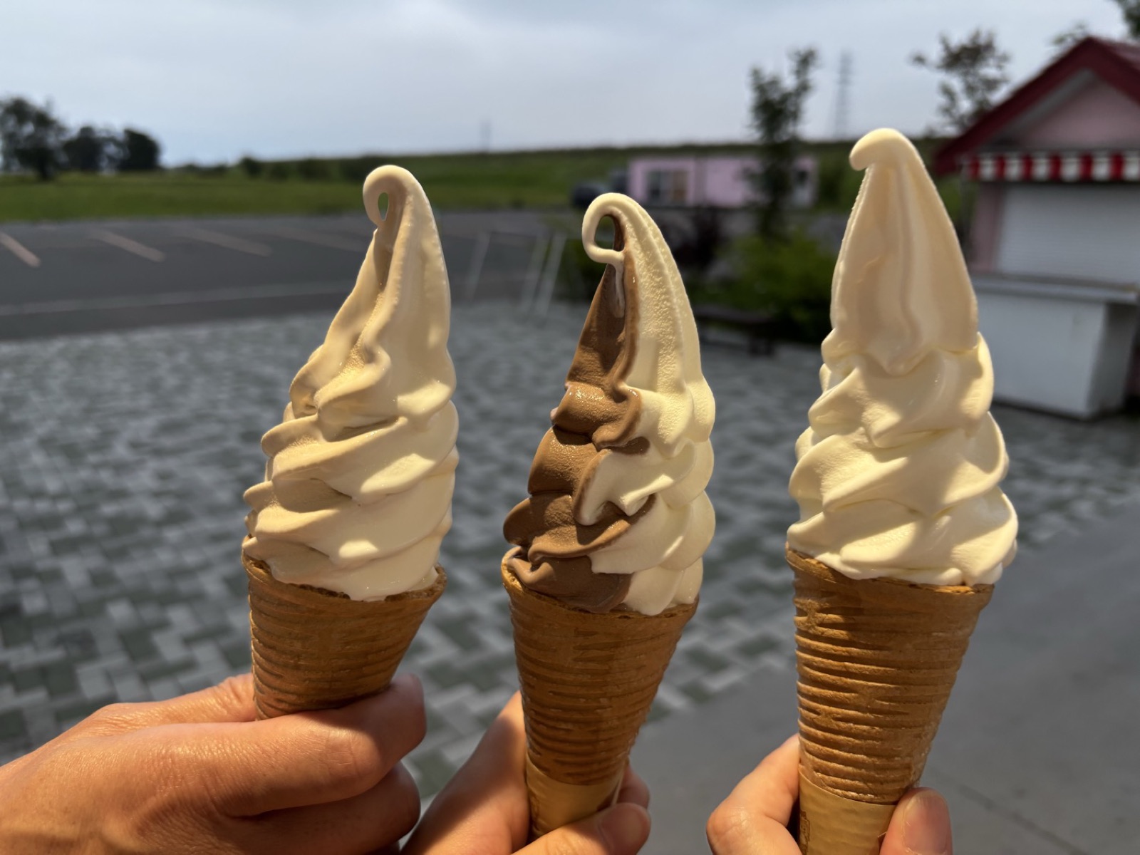 ソフトクリーム3本。左からコーヒーマーブル、チョコマーブル、こいミルク