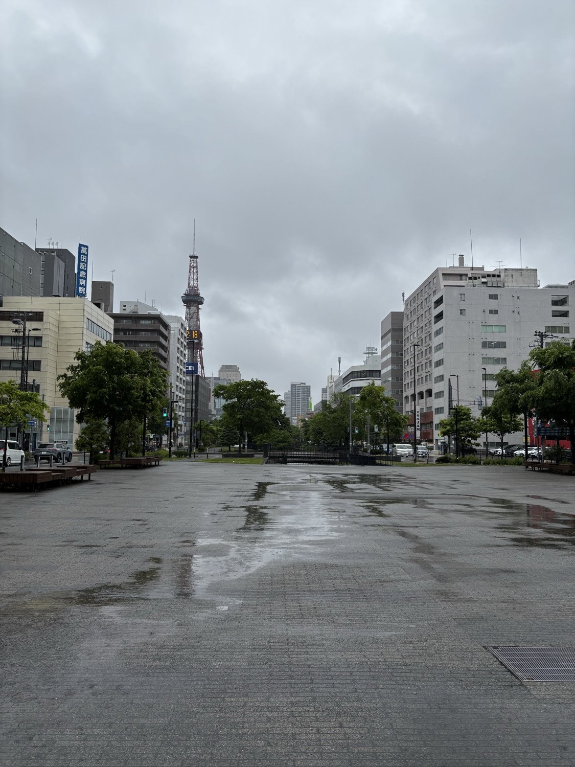 大通公園からテレビ塔を望む札幌中心部の街並み
